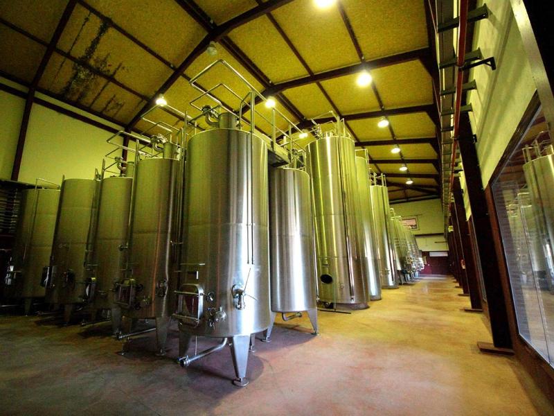 Château Viñasoro image