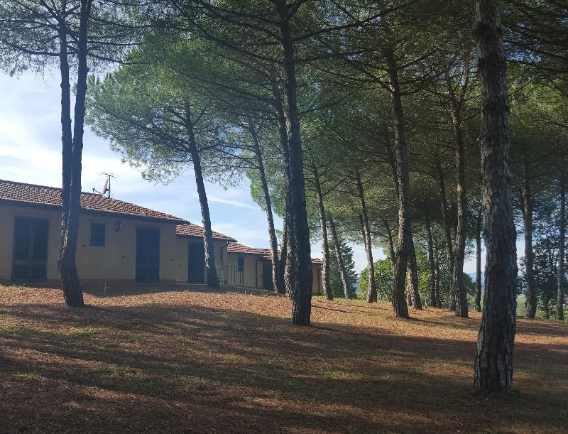 La Collinella