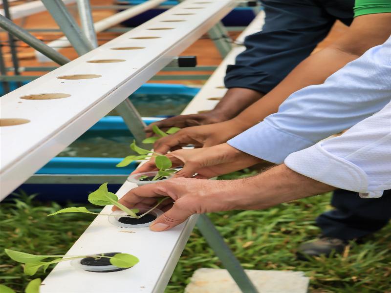 Stay in style at Kempinski Seychelles Resort