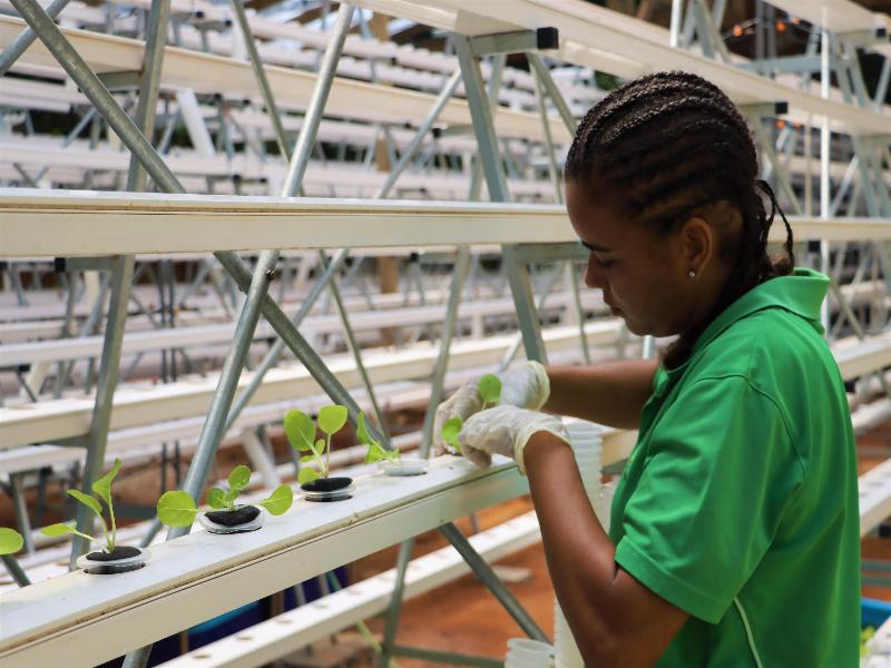 Stay in style at Kempinski Seychelles Resort