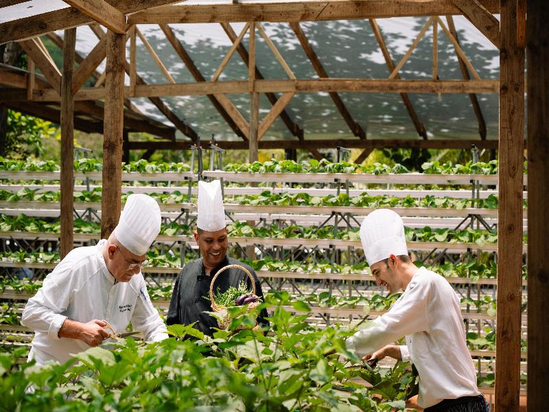 Stay in style at Kempinski Seychelles Resort