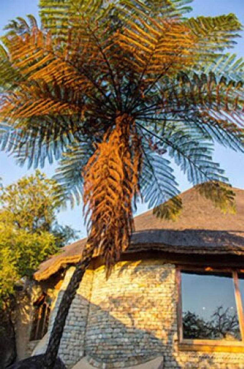Lodge At The Ancient City