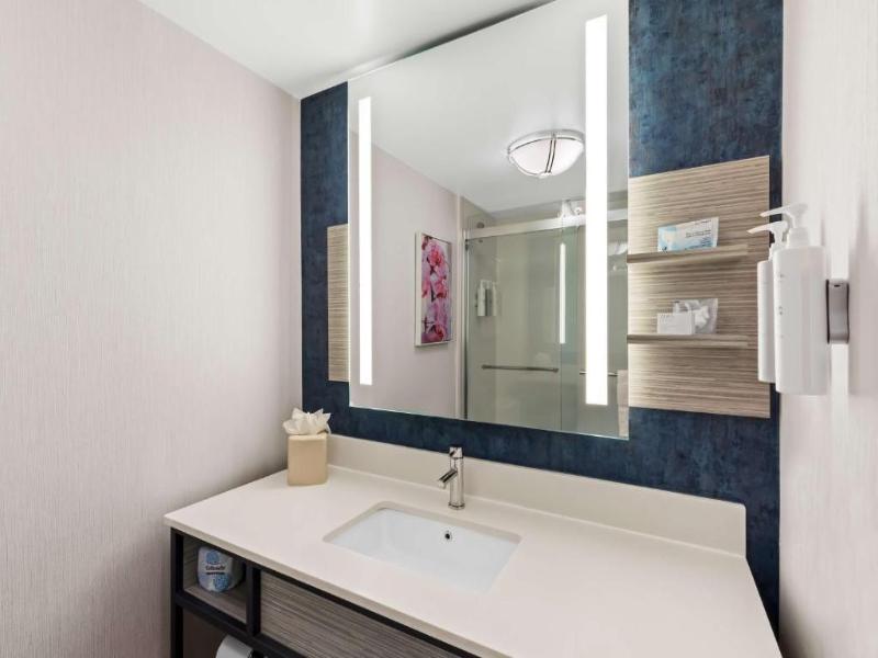 Hilton Garden Inn Atlanta Airport North image