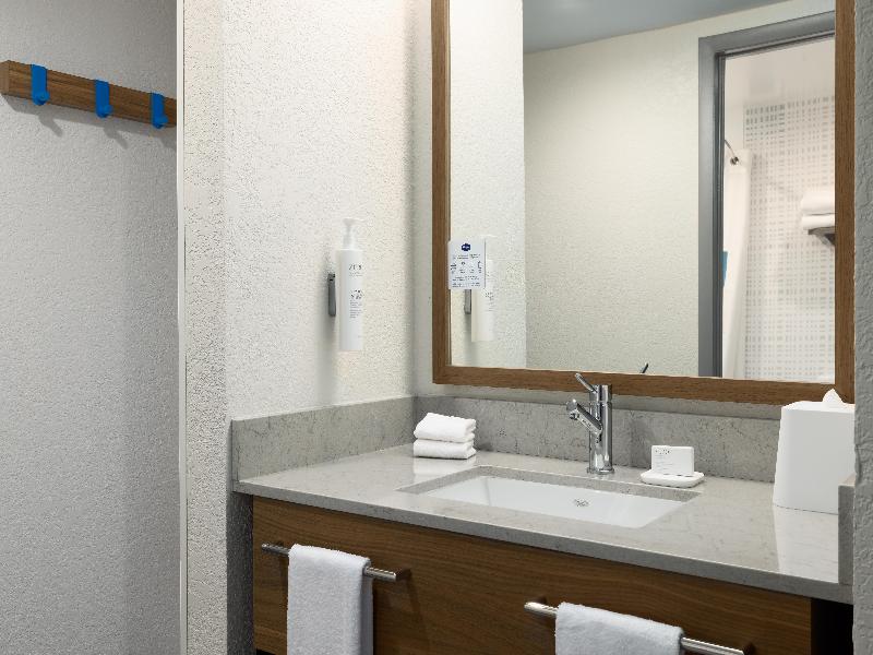 Hampton Inn Washington-Dulles Int'l Airport South image