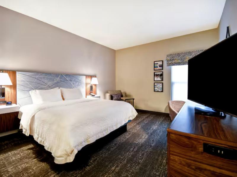 Hampton Inn Atlanta-Mall Of Georgia image