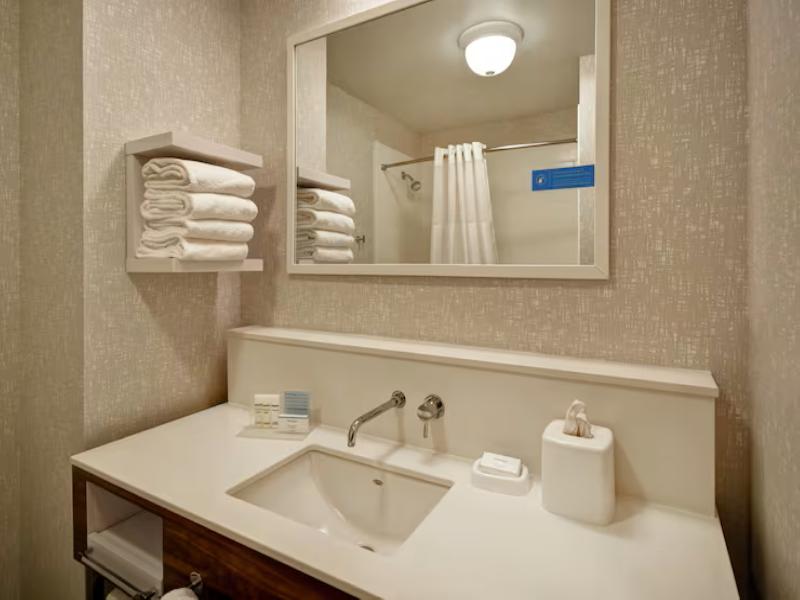 Hampton Inn Atlanta-Mall Of Georgia image