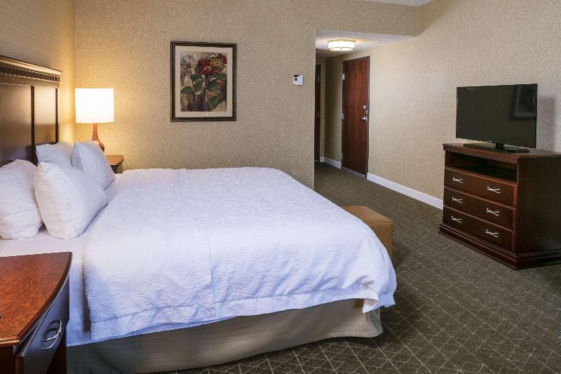 Hampton Inn Mitchell image