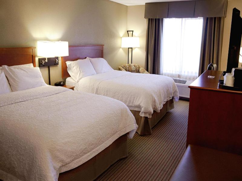 Hampton Inn Mitchell image