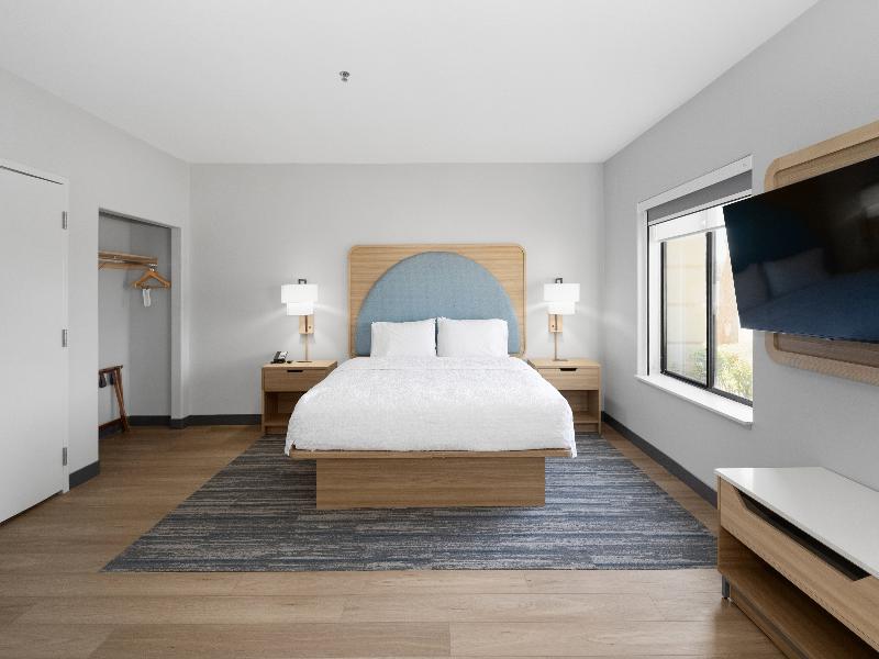 Hampton Inn & Suites Pharr image