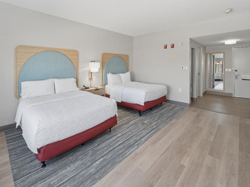 Hampton Inn & Suites Pharr image