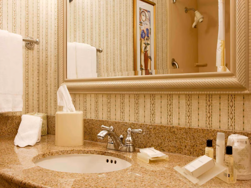 Hilton Garden Inn Secaucus Meadowlands image