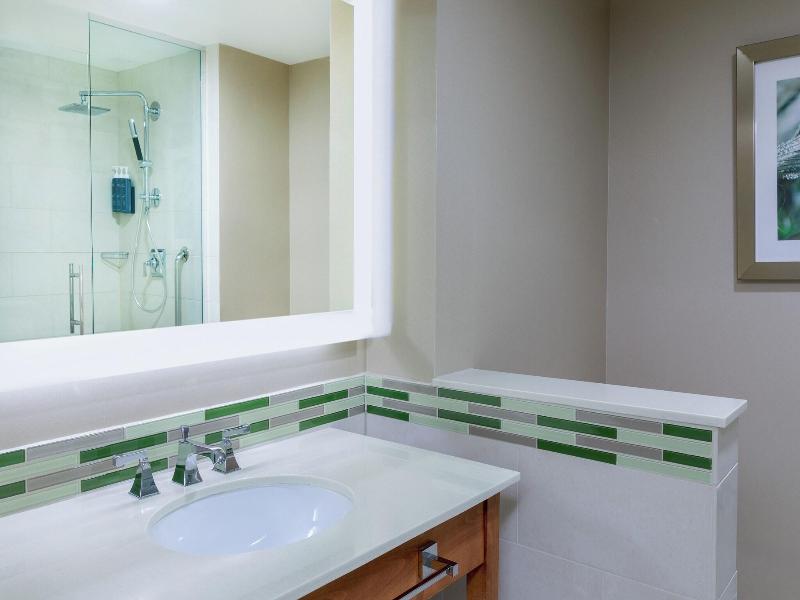 Westin Washington Dulles Airport image
