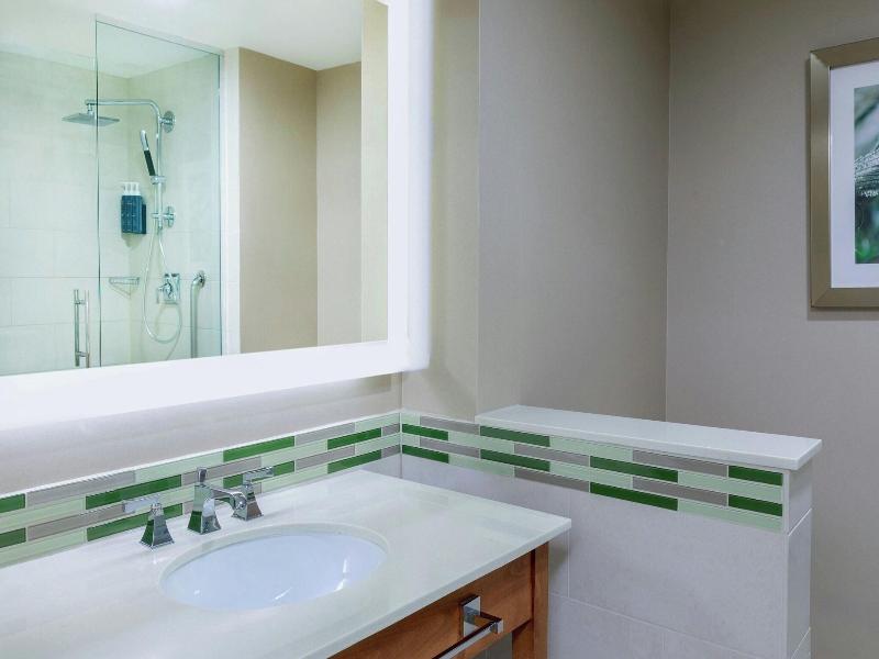 Westin Washington Dulles Airport image