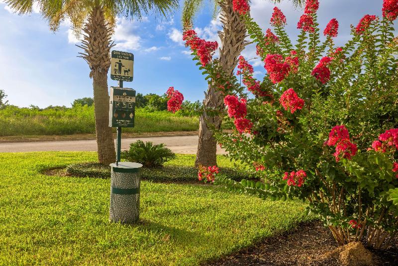 Hampton Inn & Suites Brenham image