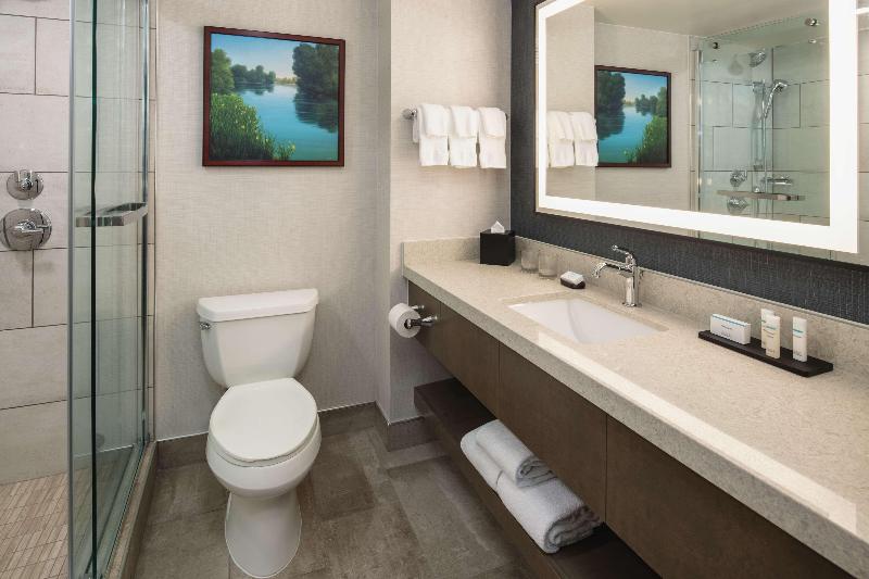 Embassy Suites by Hilton Sacramento Riverfront Pro image