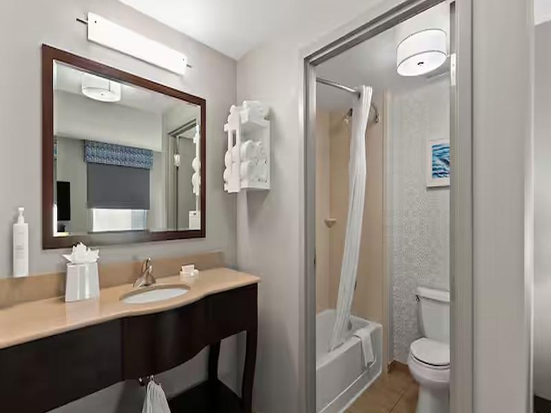 Hampton Inn & Suites Mt. Vernon Belvoir Alexandria image