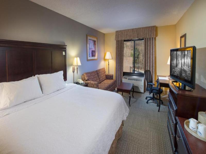 Hampton Inn Bennington image