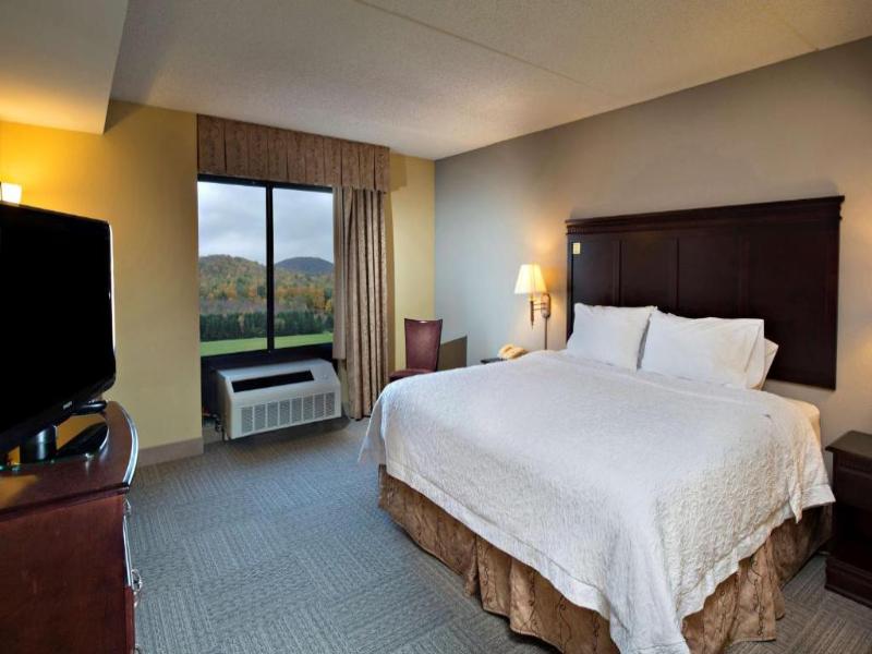 Hampton Inn Bennington image