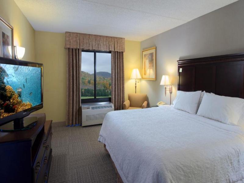 Hampton Inn Bennington image