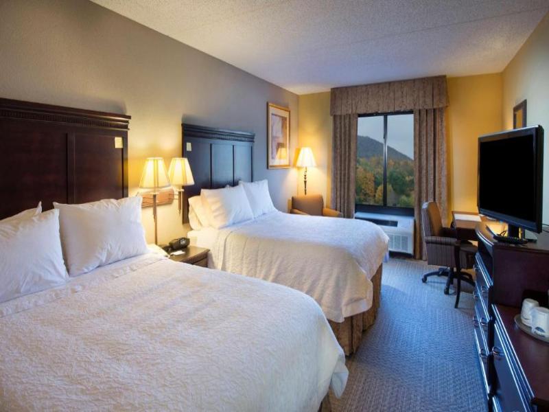 Hampton Inn Bennington image