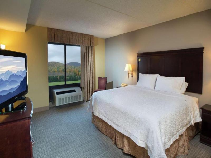 Hampton Inn Bennington image