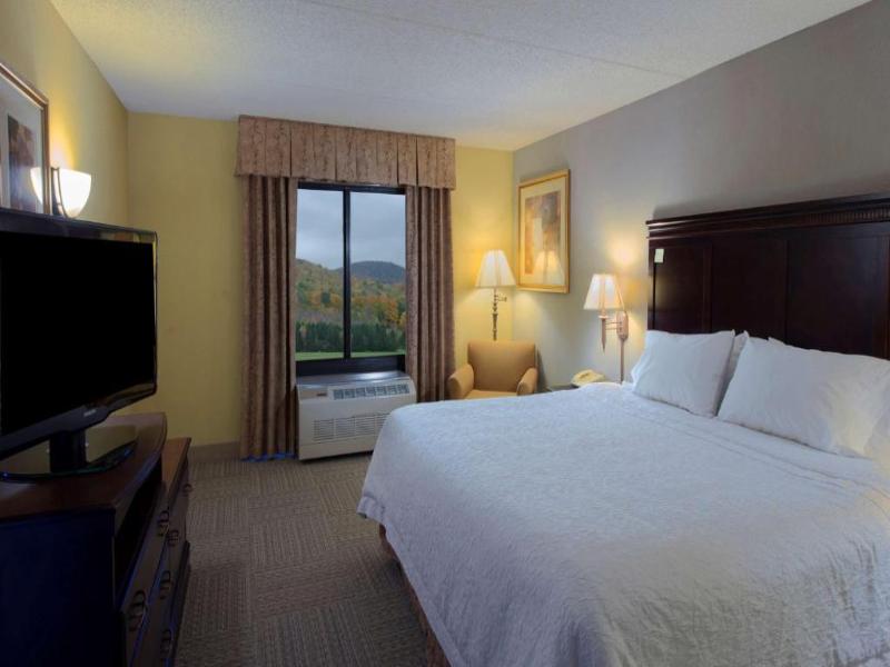 Hampton Inn Bennington image