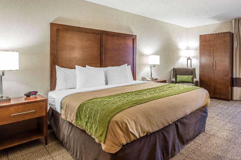 Comfort Inn Summerville image