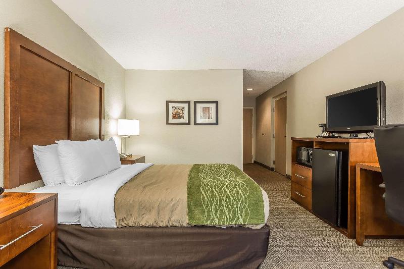 Comfort Inn Summerville image