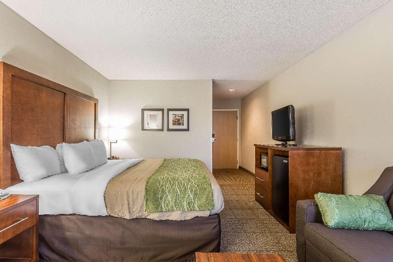 Comfort Inn Summerville image