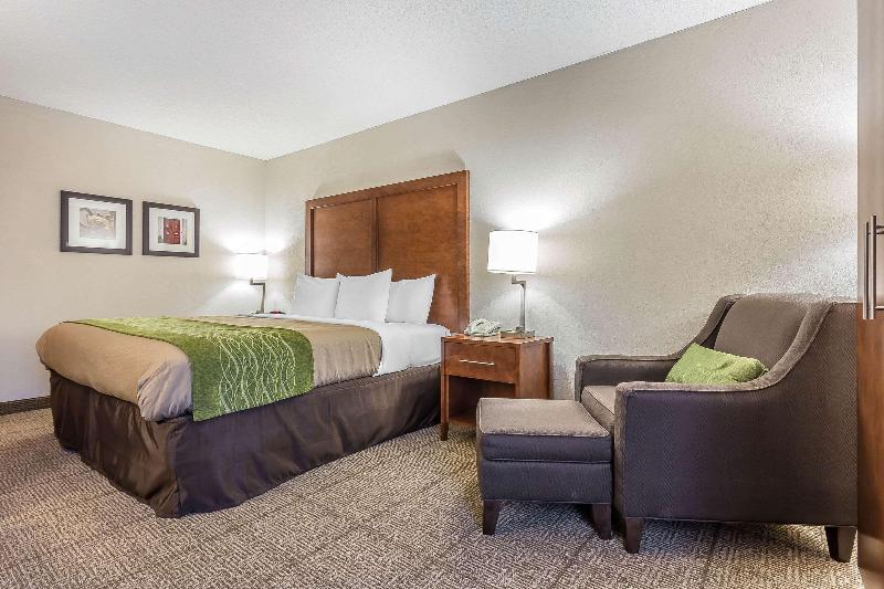 Comfort Inn Summerville image