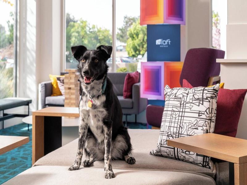 Aloft Mountain View image