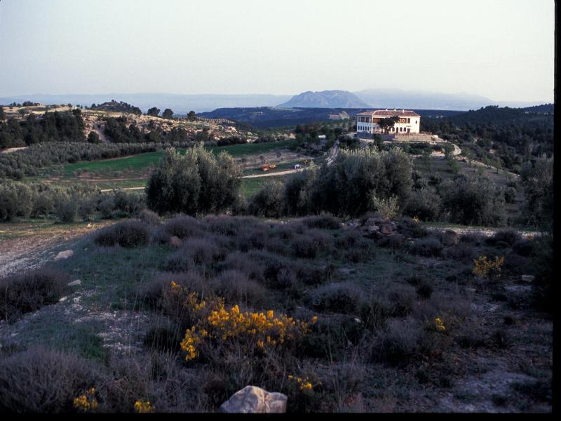 El Geco Verde image