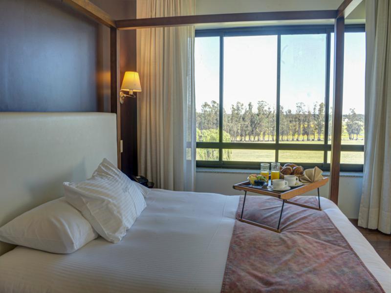 Regency Park Hotel image