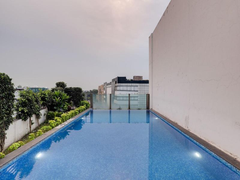 Lemon Tree Chandigarh image