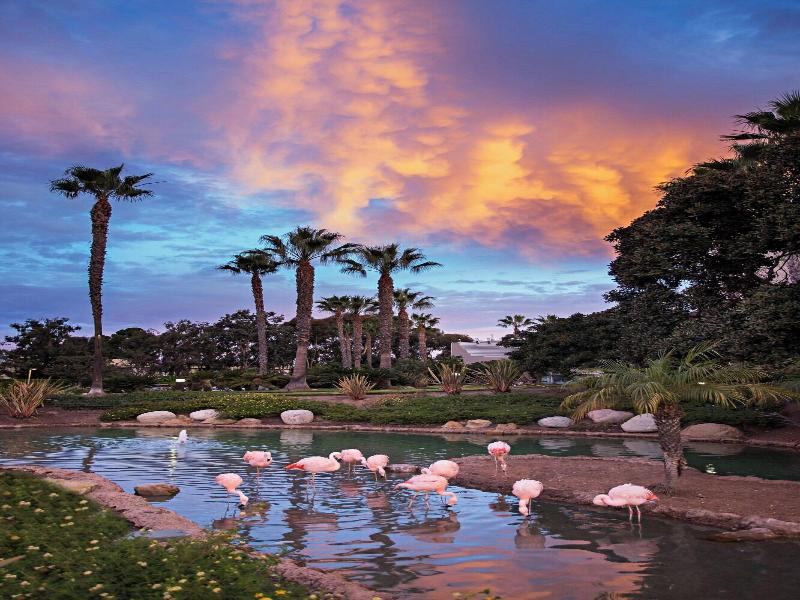 Marriott Coronado Island Resort & Spa image