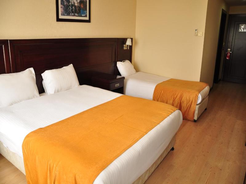 Eser Diamond Hotel & Convention Centre image