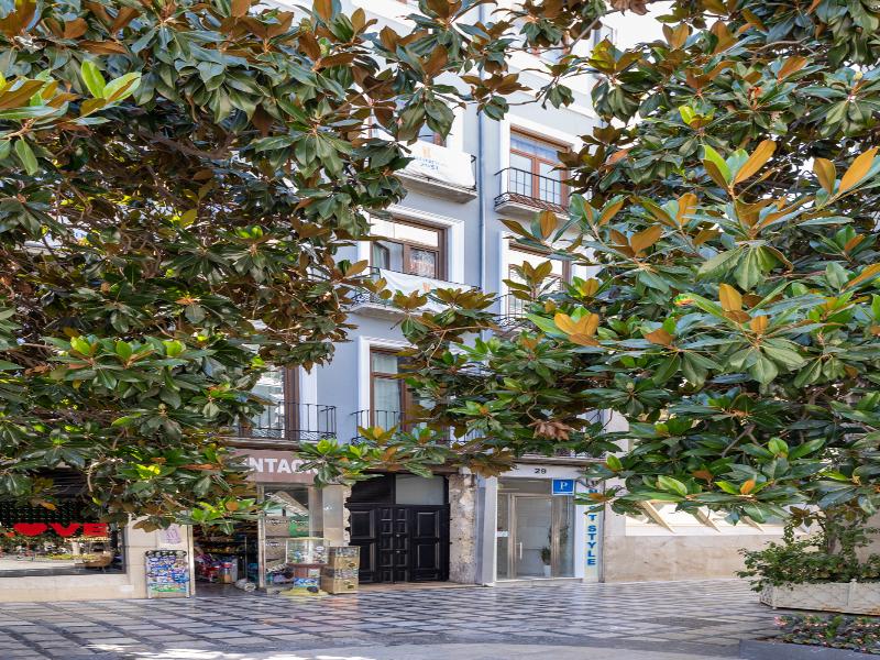 Nest Style Granada image