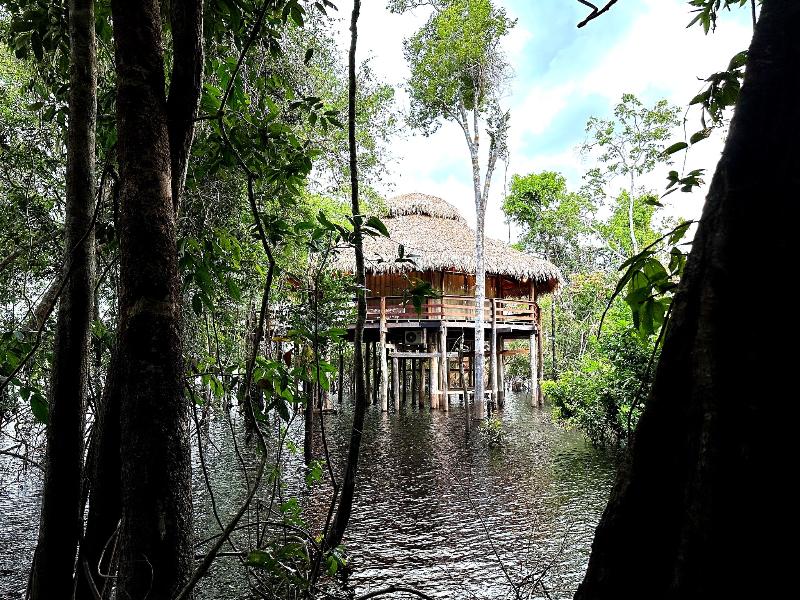Juma Amazon Lodge image
