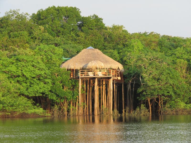 Juma Amazon Lodge image