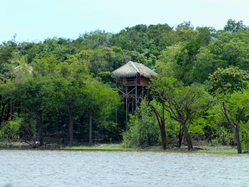Juma Amazon Lodge image