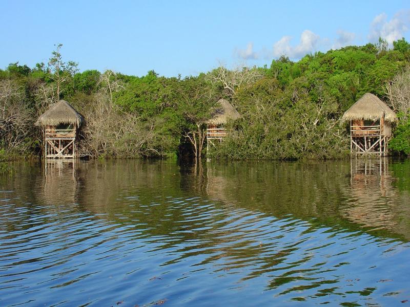 Juma Amazon Lodge image