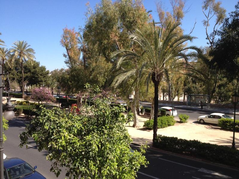 B&B Mare de Deu Jardines del Turia image