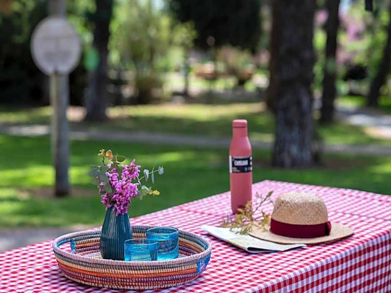 Kibbutz Malkiya Travel Hotel image