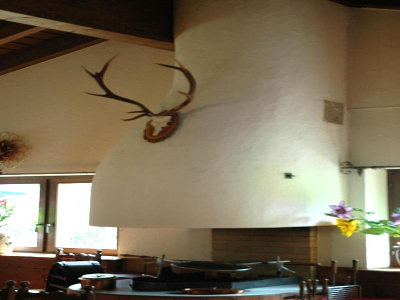 Minotel Walserhof image