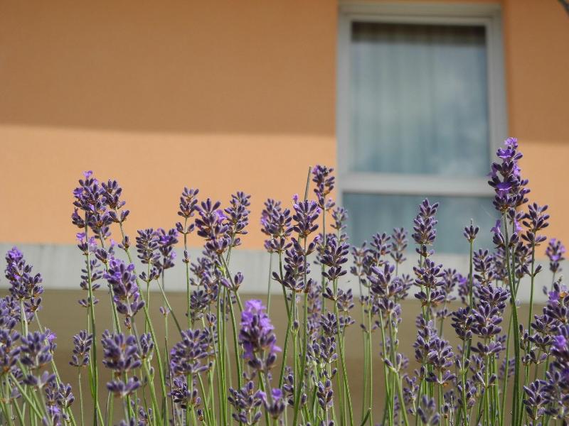 Villa Val Senart 1ere Avenue image
