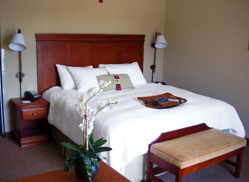 Hampton Inn Greenville image