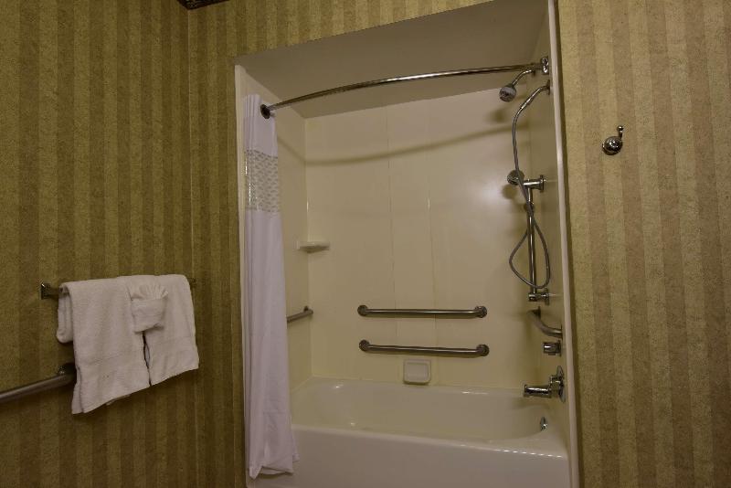 Hampton Inn & Suites Petoskey image