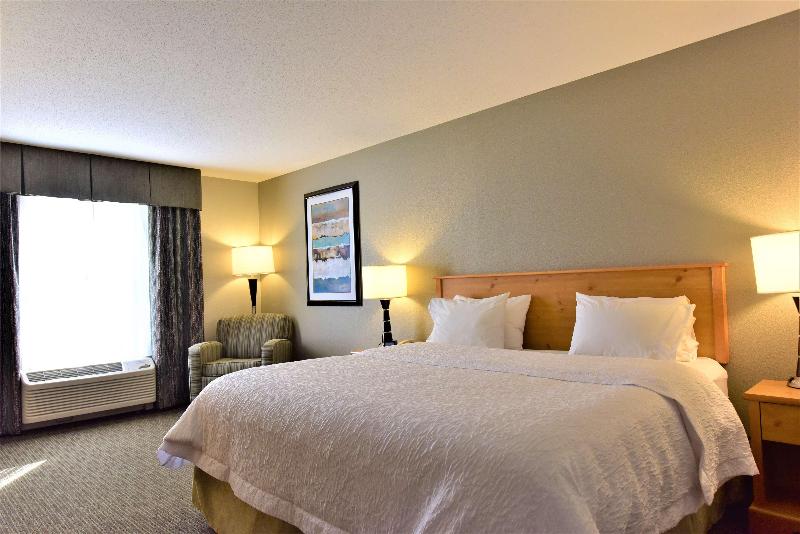 Hampton Inn & Suites Petoskey image