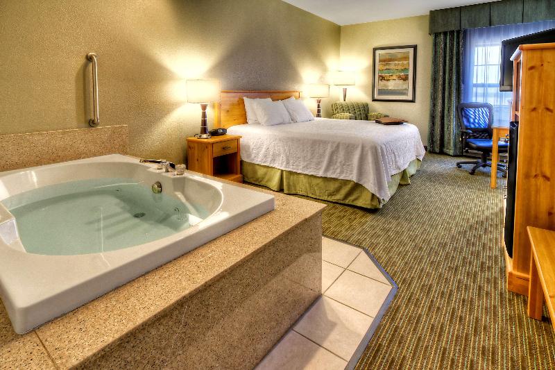 Hampton Inn & Suites Petoskey image