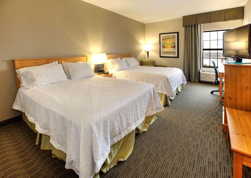 Hampton Inn & Suites Petoskey image